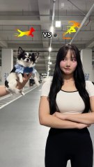 강아지 vs 인간 _ 스피드 대결😆 승자는 누구_🤔Dog vs Human _ Speed ​​Showdown😆 Who will win_🤔