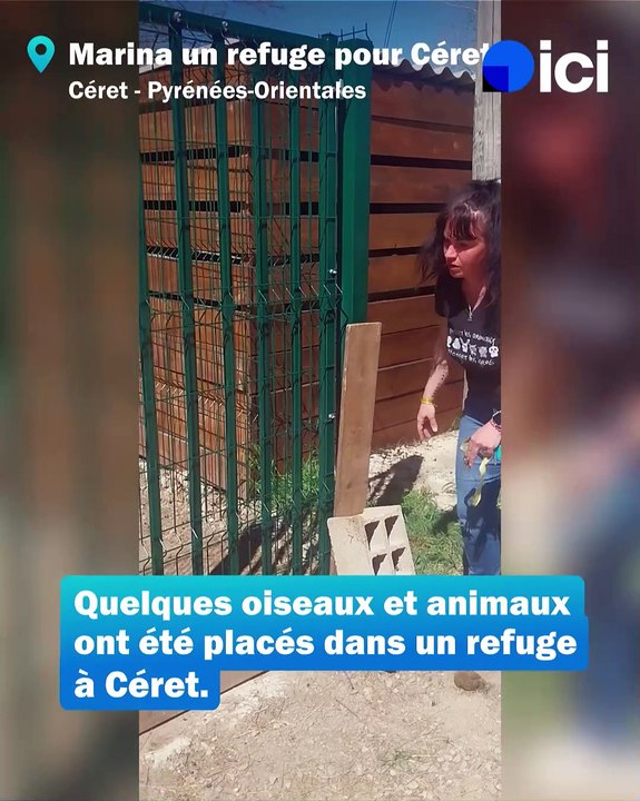 Plus de 300 animaux découverts à Bompas