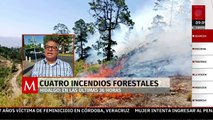 Cuatro incendios forestales en Hidalgo se han reportado en las últimas 36 horas.
