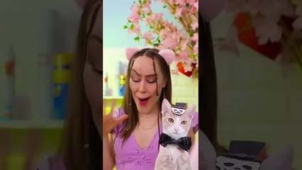 So Satisfying MEOW Toilet Seat with Popit #shorts #reverse