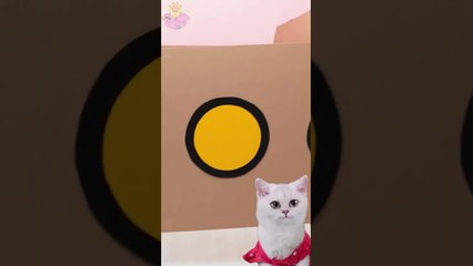 DIY GOLDEN VENDING MACHINE😹🥊