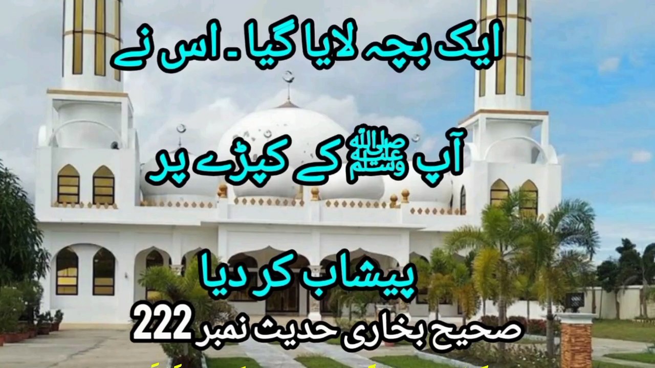Sahih Bukhari Hadees No 221