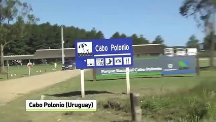 Cabo Polonio, la casa de los lobos marinos