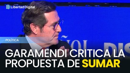 Garamendi asegura que la propuesta de Sumar muestra "una visión del mundo laboral bastante lamentable"