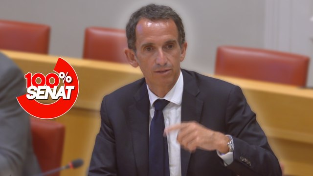 100% Sénat - Aides publiques aux entreprises : audition du PDG de Carrefour