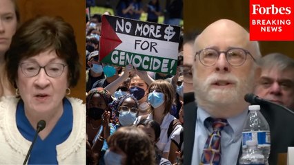 Collins Gets Heated With Witness Over Students Getting Extra-Credit For Joining Anti-Israel Protests