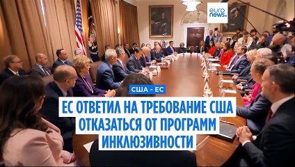 Требование США отказаться от программ инклюзивности в ЕС приняли в штыки