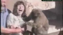 Funny Animals
