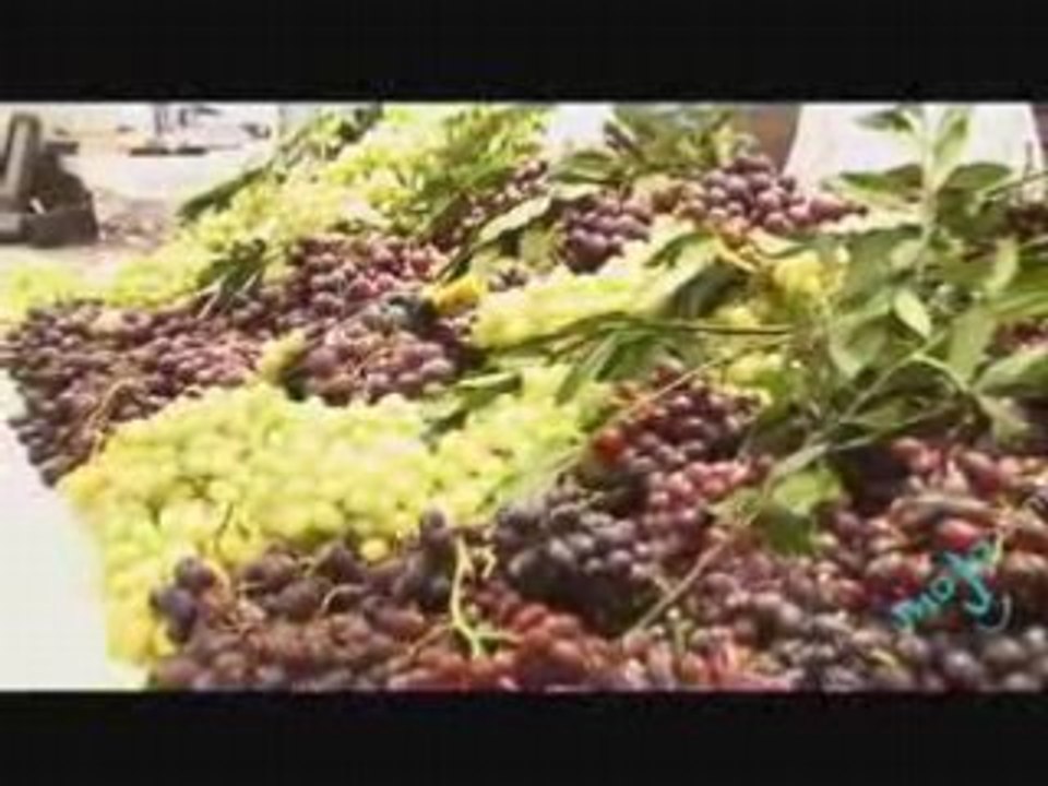 Greek Wines