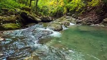 Nature is beauty