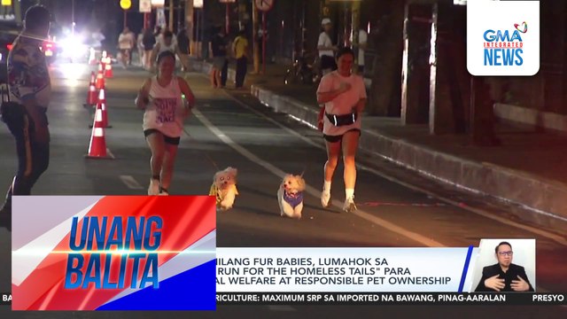 Fur parents at kanilang fur babies, lumahok sa Pawsitive Strides: Run for the Homeless Tails para isulong ang animal welfare at responsible pet ownership | Unang Balita