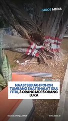 Tragedi Pohon Tumbang Saat Shalat Idul Fitri di Alun-Alun Pemalang, 3 Orang Meninggal Dunia