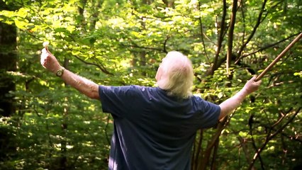 Still Dreaming | movie | 2015 | Official Trailer