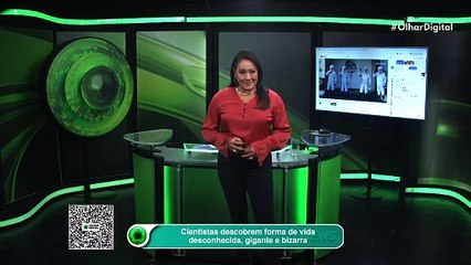 Cientistas descobrem forma de vida desconhecida, gigante e bizarra