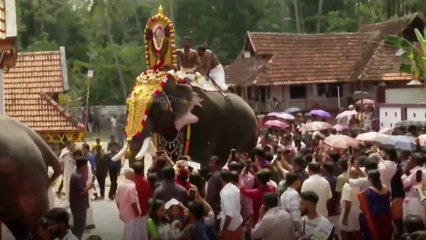 കൗതുകവും ഭക്തിയും ഒത്തുചേർന്നു.. ഉമയനല്ലൂർ ക്ഷേത്രത്തിൽ ആനവാൽപ്പിടി ചടങ്ങ്...