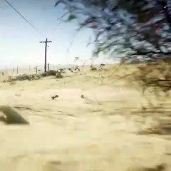 Snake Chasing a Squirrel for Food! 🐍🐿️ Shocking Wild Hunt!