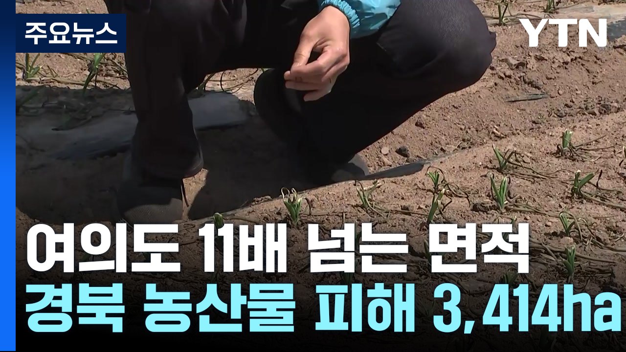 "산불이 농사 망쳐"...경북 농산물 피해 3,414 ha / YTN