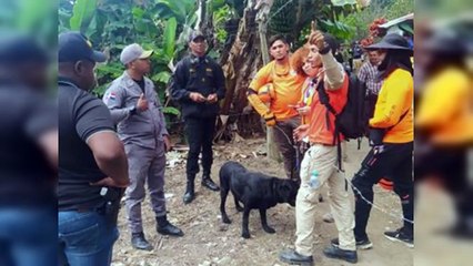 Policía busca niño desaparecido en en el Parque J. Armando Bermúdez