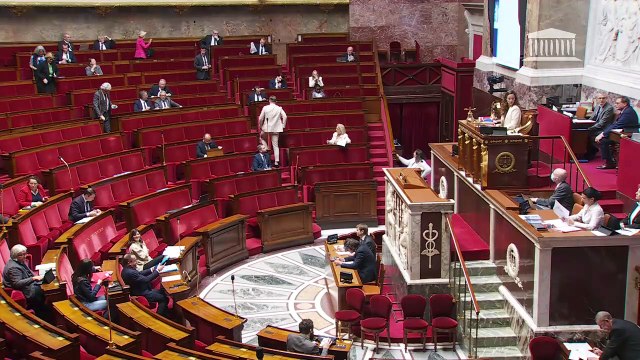 1ère séance : Pour une stratégie nationale de prévention sur le chemsex ; Contre les fraudes aux moyens de paiement scripturaux - Lundi 31 mars 2025