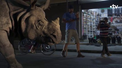 Planète Terre - Le triomphe de la vie