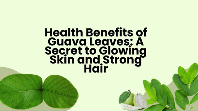 Health Benefits of Guava Leaves A Secret to Glowing Skin and Strong Hair