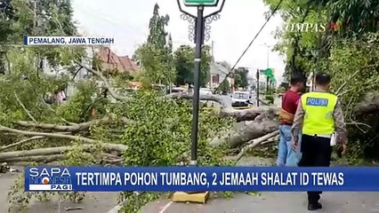 Usai 2 Jamaah Meninggal Tertimpa Pohon Jelang Salat Idulfitri, Begini Janji Bupati Pemalang