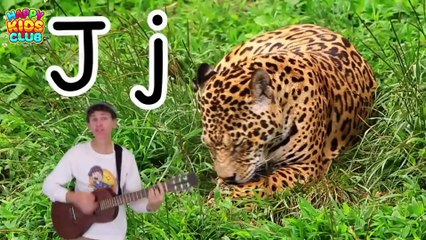 A to Z Phonics Songs | Kids Songs Compilation with Matt | Learn English Preschool