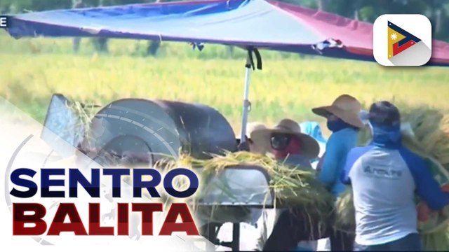 P45/kg na MSRP sa imported na bigas, ipatutupad nang dalawang buwan ayon sa D.A.