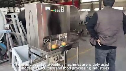 Fruit and vegetable peeling machines