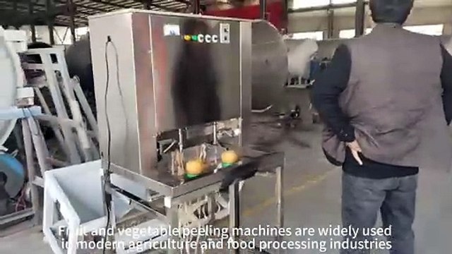 Fruit and vegetable peeling machines