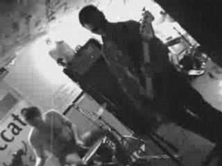 VEINES Grinding halt (CURE cover)