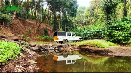 Budget stay in nelliyampathy - Hill Valley Farm HouseZeenath (Ravivarma Estate), Nelliyampathy