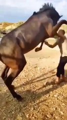 the man is kick out the game