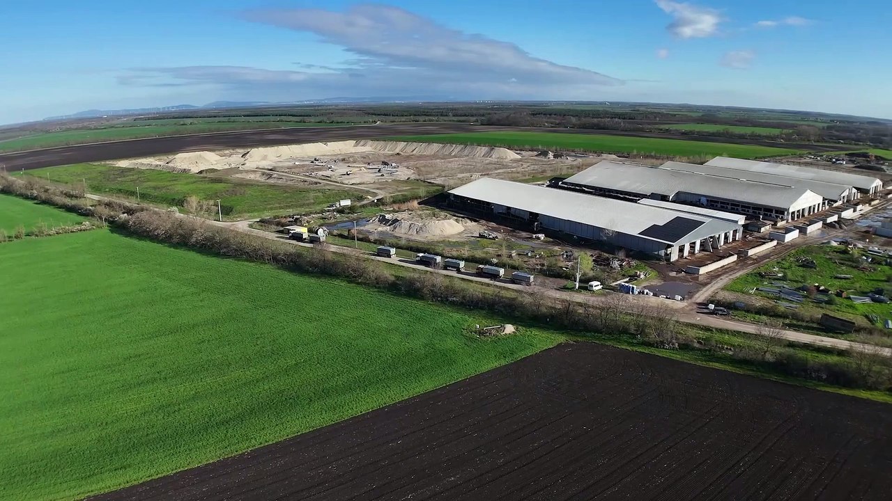 Maul- und Klauenseuche in Ungarn: Tausende Rinder werden getötet, obwohl sie gesund sind