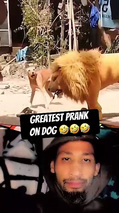 Funniest_prank_on_sleeping_dog_😂_Fake_lion_scared_dog_prank_