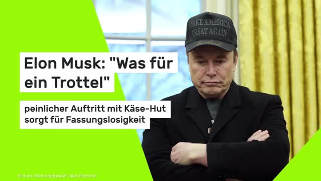 Elon Musk: 'Was für ein Trottel' - peinlicher Auftritt mit Käse-Hut sorgt für Fassungslosigkeit