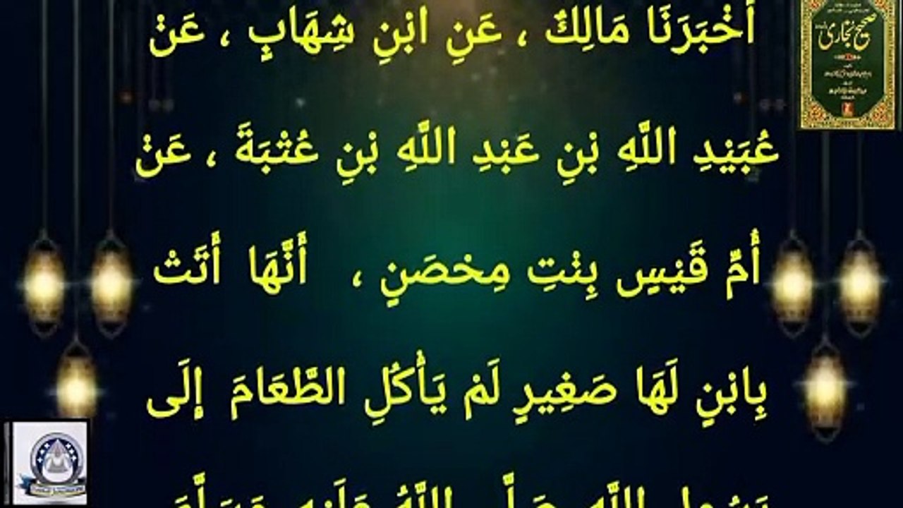 Sahih Bukhari Hadees No 223