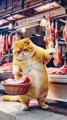 The cat buys meat from the market and brings it back.