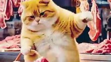 The cat buys meat from the market and brings it back.
