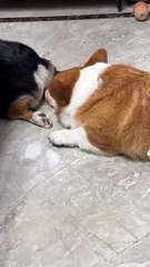 There's something fragrant here😆