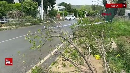 Bodrum'da tekneler suya gömüldü, ağaçlar devrildi