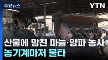 "산불에 망쳐 버린 마늘·양파 농사...농기계마저 불타" / YTN