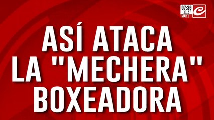 Mechera y boxeadora: la descubrieron robando y atacó a golpes a un empleado