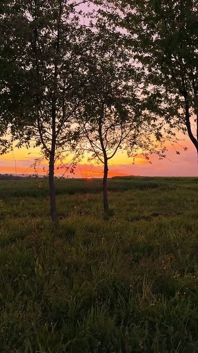 Nature's Magic