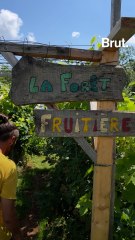 Le jardin-forêt de Rémi
