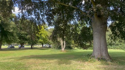 People’s Trust for Endangered Species: Helping endangered animals