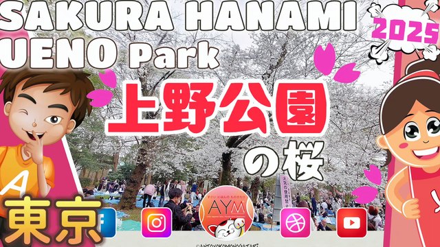 上野恩賜公園の桜 🌸 Ueno Park Cherry blossoms Fiori di ciliegio 花見 Hanami Ueno no Sakura 上野恩賜公園 桜まつり Tokyo