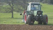 Semis 2008