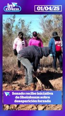 Sheinbaum manda al Senado iniciativa sobre desaparición forzada I Reporte Indigo