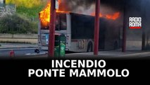 Ponte Mammolo, incendio distrugge autobus della linea 041